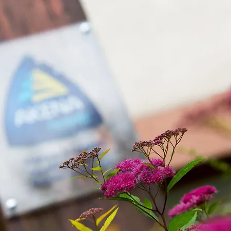 The Originals Access, Halt'hotel, Clermont 2*